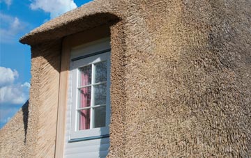 Tremorebridge thatch roof disadvantages