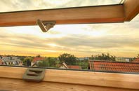 rated Tremorebridge roof window companies